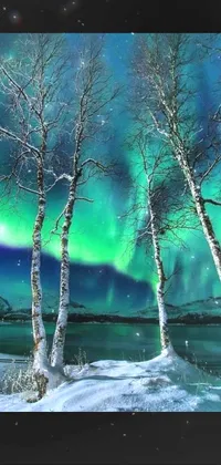 This phone live wallpaper depicts a group of trees standing in a snowy landscape
