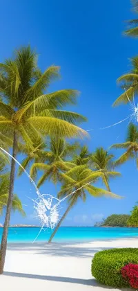 Bring a piece of tropics to your phone with this breathtaking live wallpaper! The image features a group of tall palm trees set against a sandy beach and the shimmering turquoise waters of Caribbean - truly a feast for the eyes