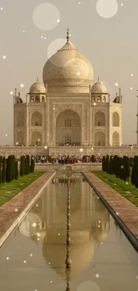 This live wallpaper showcases a breathtaking reflection of the Taj Mahal monument in water
