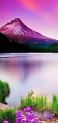 Water Sky Plant Live Wallpaper