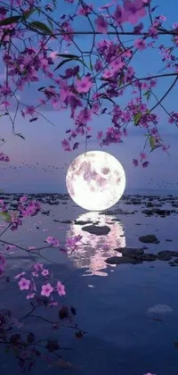This phone live wallpaper displays a breathtaking digital art piece featuring a full moon rising over a still body of water