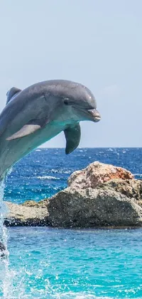 Bring a slice of paradise straight to your phone with this stunning live wallpaper! Watch as a playful dolphin cartwheels out of the sparkling ocean amid a breathtaking backdrop of palm trees and clear blue skies