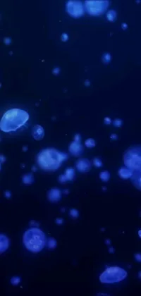This phone live wallpaper features a stunning digital art rendering of jellyfish floating in the water, beautifully animated for a mesmerizing effect