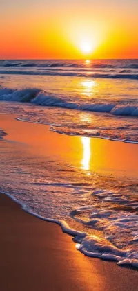 Browse Free HD Images of Glowing Orange Sunset On A Beach