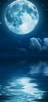 This phone live wallpaper features a tranquil scene of a full moon reflected in calm waters with a Tumblr-inspired aesthetic