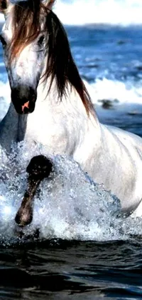 This live wallpaper features a white horse galloping through a body of water as it showcases its wild and free spirit