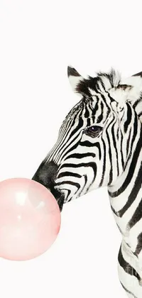 This live wallpaper for your phone features an artistic design that includes a zebra holding a pink balloon in its mouth