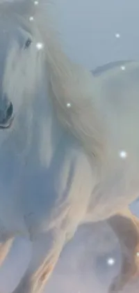 This phone live wallpaper boasts a beautiful winter scene of a powerful white horse galloping through a snow-covered landscape