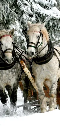 This phone live wallpaper captures the charm of winter with horses pulling a sleigh through the snow