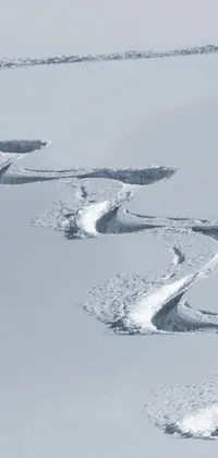 This phone live wallpaper features a photo of a skier riding down a snowy slope