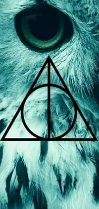 Looking for a captivating live wallpaper for your phone? Check out this mesmerizing design! Featuring a majestic owl with an iconic Harry Potter symbol on its face, this phone wallpaper is sure to impress
