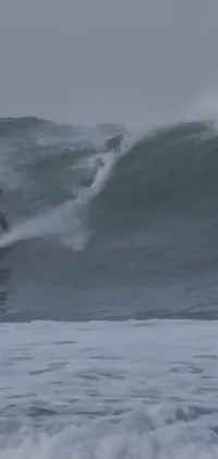 Water Surfing Sky Live Wallpaper