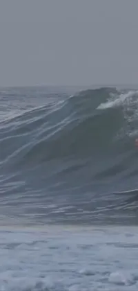 Water Surfing Surfboard Live Wallpaper