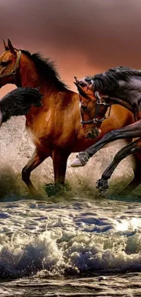 This stunning live wallpaper features digital art of a group of horses running through water, with a beautiful close-up shot and impressive realism
