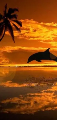 This live phone wallpaper features a romantic and breathtaking scene of a dolphin gracefully leaping out of the water at sunset