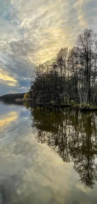 This stunning live wallpaper depicts a serene body of water amidst a forest surrounded by lush trees and a cloudy sky, capturing the essence of the autumn season
