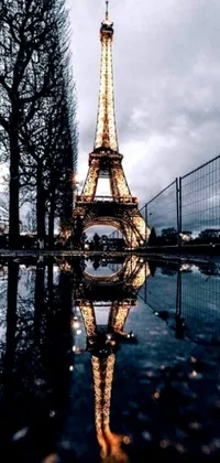 This phone live wallpaper features a gorgeous image of the iconic Eiffel Tower reflecting in a puddle of water