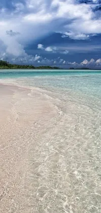 Experience the ultimate tropical getaway without leaving your phone screen with this live wallpaper