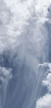 Water Tree Cloud Live Wallpaper