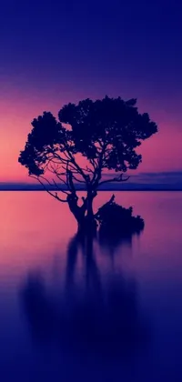 This live wallpaper showcases a lone tree standing tall in the center of a serene lake