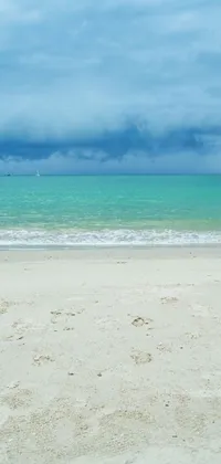 Get lost in the simplicity of this live wallpaper featuring a tranquil sandy beach next to the ocean