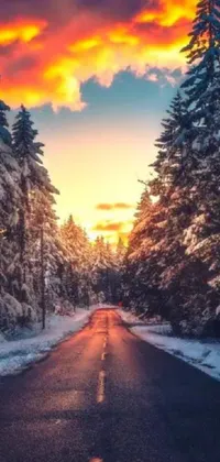This live wallpaper for your phone features a snowy forest with a highway