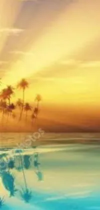 Transform your phone's background with a stunning tropical beach live wallpaper