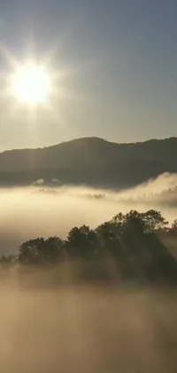 This beautiful live phone wallpaper displays a mesmerizing valley blanketed in fog with a brilliant sunshine