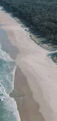This live wallpaper features a beautiful sandy beach with clear blue waters lapping against the shore