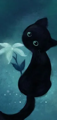 This black cat live wallpaper features a digital painting with a dark blue and black background showcasing a beautiful night sky