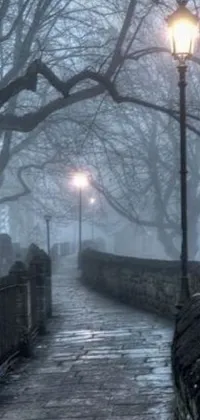 This phone live wallpaper showcases a striking image of a street light on a misty cobblestone road