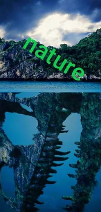 Water Tree Lake Live Wallpaper