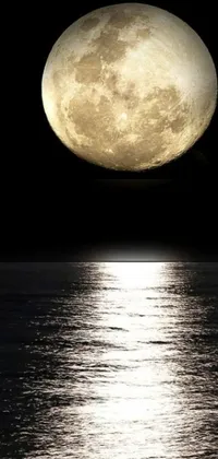 This phone live wallpaper showcases a stunning and close-up image of a full moon rising above a calm body of water