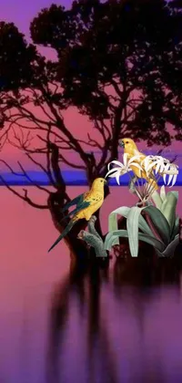 This live phone wallpaper showcases a beautiful digital painting of two birds atop a tree against a tropical, violet-and-yellow sunset background