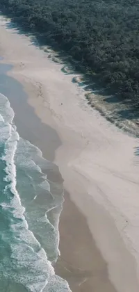 This phone live wallpaper depicts a stunning aerial view of a sandy beach and a large body of water
