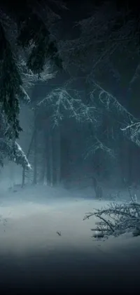 This enchanting live wallpaper features a serene snow-covered forest filled with towering trees, snowflakes drifting gently from the sky