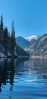 This live wallpaper showcases a scenic body of water with lush green trees and majestic mountains in the background