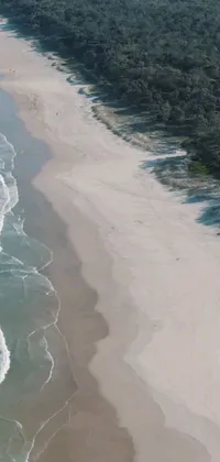 This live wallpaper showcases a breathtaking view of a vast body of water and a sandy beach surrounded by verdant vegetation