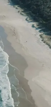 This mobile live wallpaper showcases a breathtaking scene of a vast body of water adjoining a sandy beach