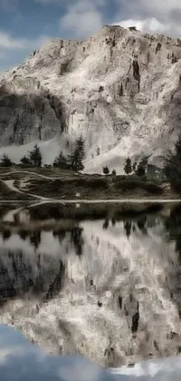 Water Tree Mountain Live Wallpaper
