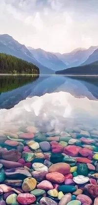 Enjoy a serene and peaceful ambiance with this phone live wallpaper