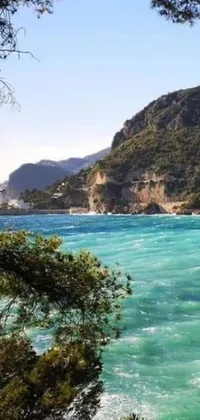 This stunning Italian beach phone live wallpaper features lush green trees and shimmering blue waters