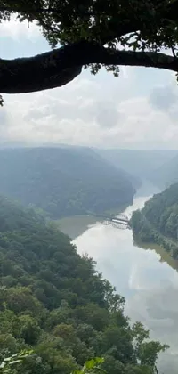 This phone live wallpaper showcases a serene scene of a river running through a lush green forest in West Virginia