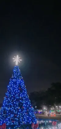 This phone live wallpaper showcases a delightful Christmas tree in a park with blue moonlight rays in the background