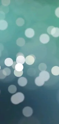 Get mesmerized by this stunning live wallpaper! The blurry blue and green background, dotted with white sparkles, will transport you to a serene natural landscape
