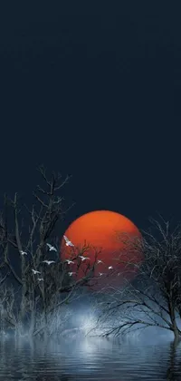 This live wallpaper depicts a serene sunset scene over a body of water with trees in the foreground