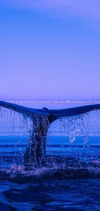 This phone live wallpaper showcases a stunning whale tail sticking out of the ocean waters