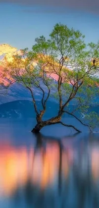 Enjoy a breathtaking live wallpaper on your phone depicting a tree sitting majestically in still waters, while a gorgeous mountain background captures the romanticism of it all in stunning detail