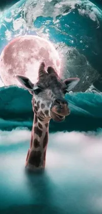 This stunning phone live wallpaper features a cute and endearing giraffe in front of a full moon