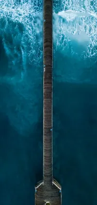 Water Tree Sky Live Wallpaper